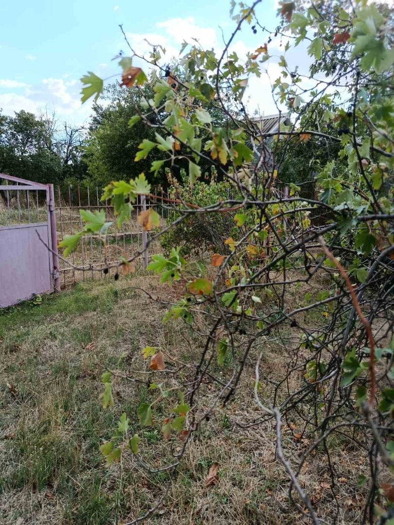 продажа участка номер L-174468 в Светлом, фото номер 3